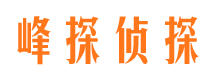 延寿市调查公司